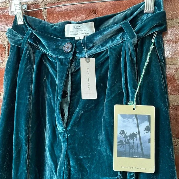 🆕NWT Anthropologie Velvet Wide Leg Trousers
